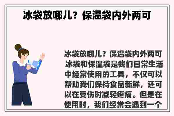 冰袋放哪儿？保温袋内外两可